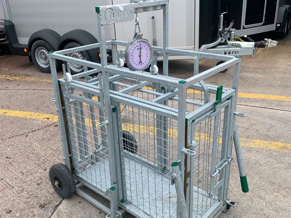 Condon engineering sheep weigh scales in stock - Main image