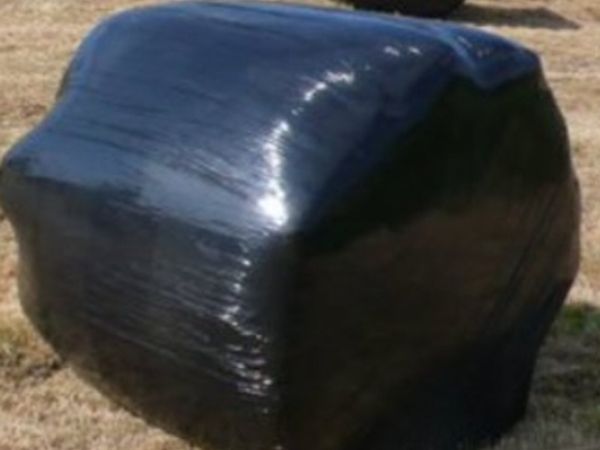 Bales of Silage - Main image