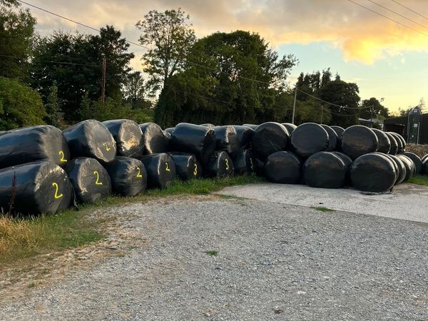Silage - Main image