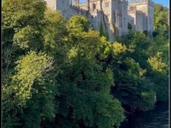 Wanted up to 3 acres in lismore, tallow, fermoy - Main image
