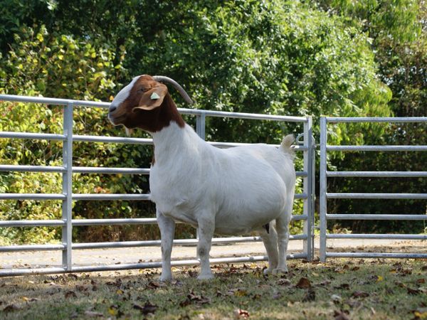 no-image