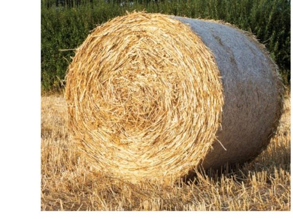 Straw - Main image