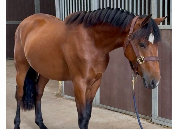 no-image