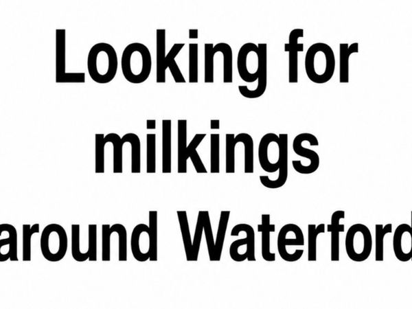 Relief Milkings - Main image