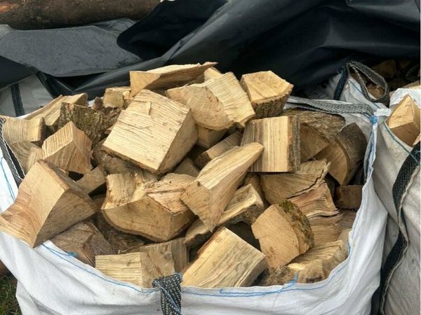 no-image