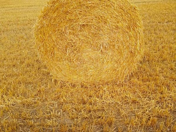 Straw - Main image