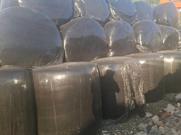 Silage Bales - Main image