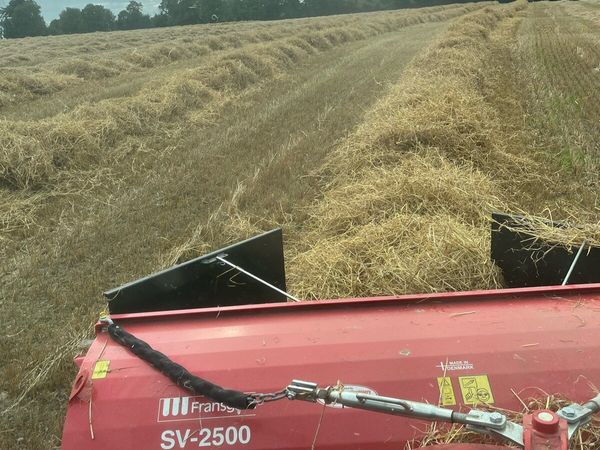 Straw and silage wilted - Main image