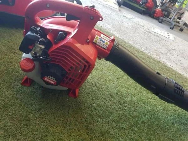 no-image