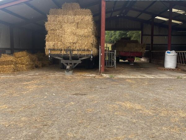 Small square bales of straw - Main image