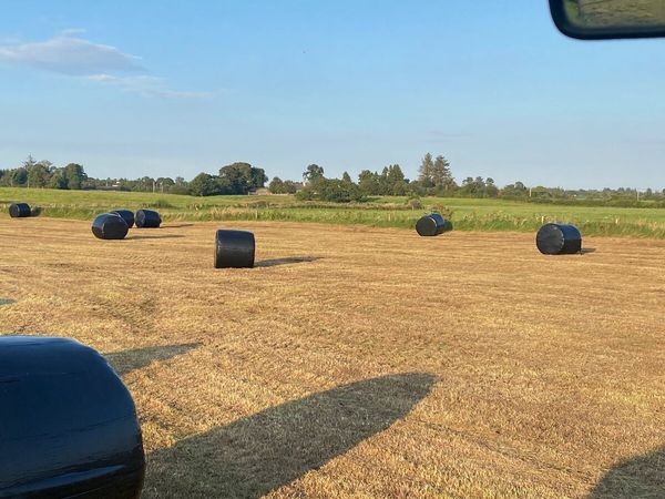 Round bales - Main image
