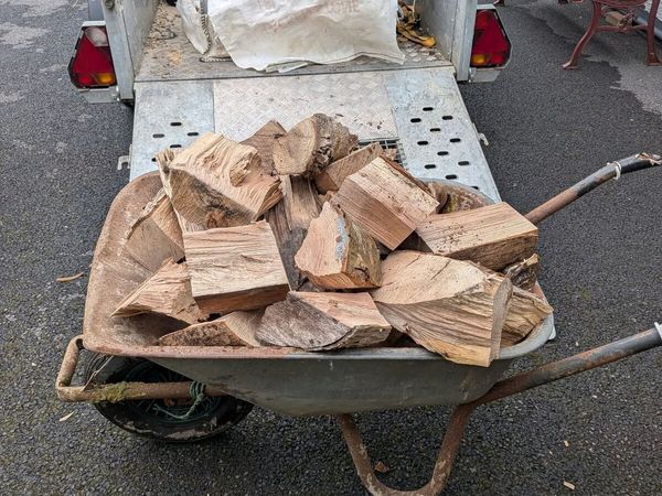 Firewood - Main image