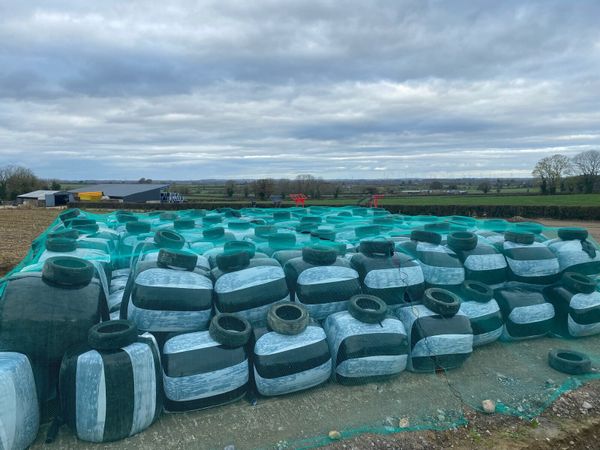 ### Maize Bales ###🐄🐄🐄 💪💪 - Main image