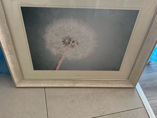 no-image