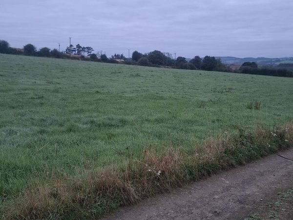 Silage bales - Main image