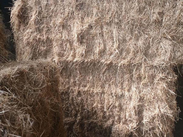 Big square  bales of Hay for sale - Main image