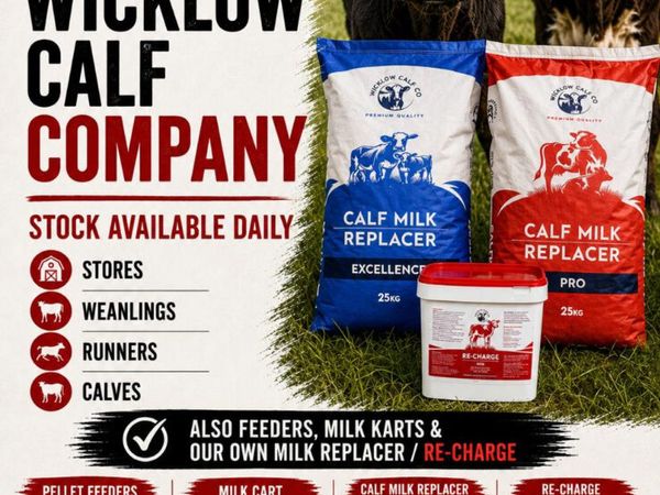 36 Quality calves available @Wicklow calf - Main image