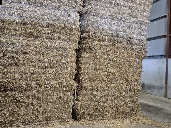 Wheat & Barley Straw For Sale - Main image