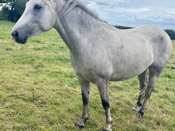 no-image
