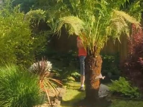 no-image