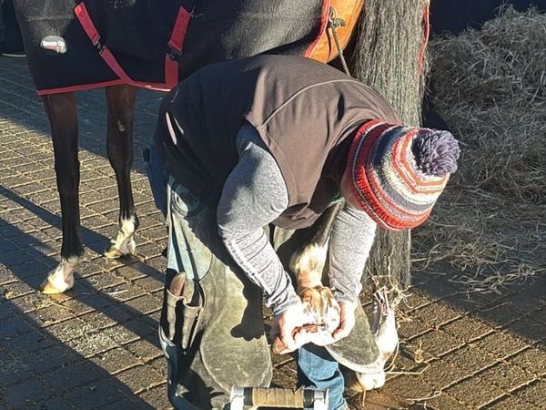 Farrier - Main image