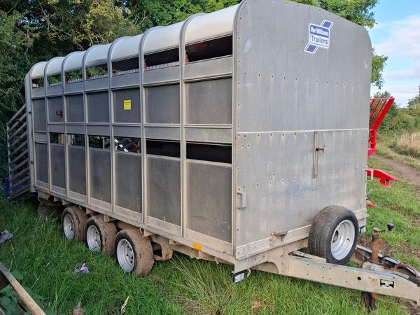 Ifor Williams Top c/w Sheep Decks - Main image