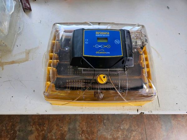 no-image