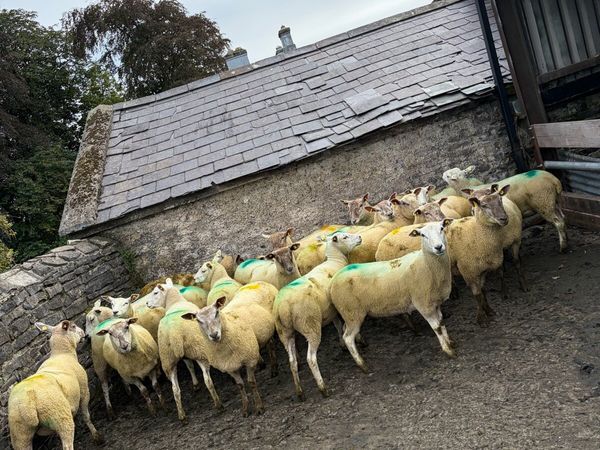 no-image