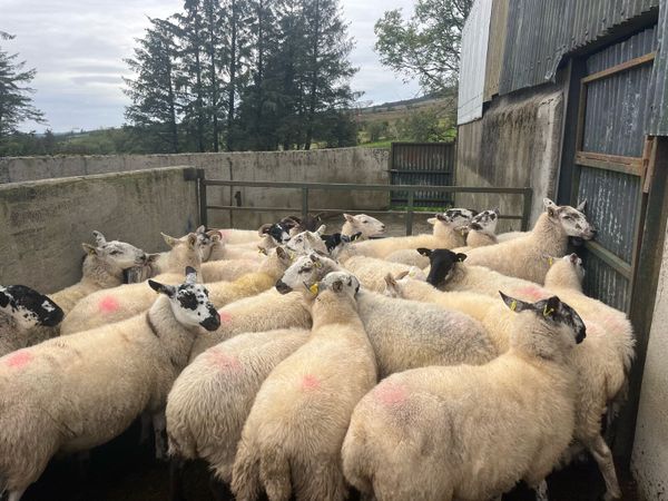 no-image