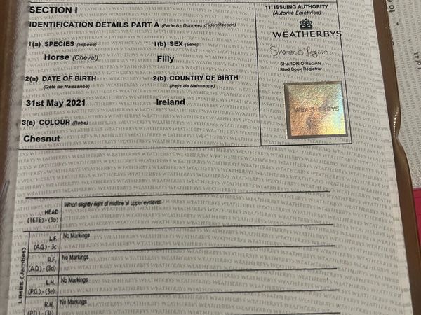 no-image