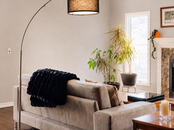 no-image