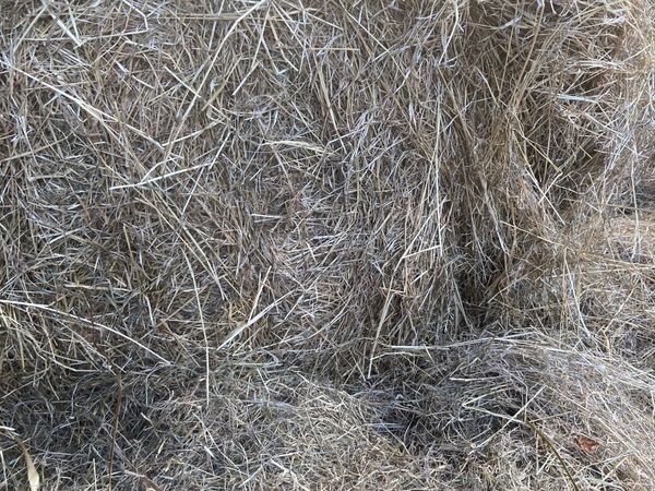 no-image