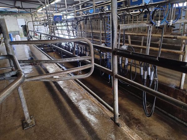 Dairymaster milking machine 12 unit - Main image