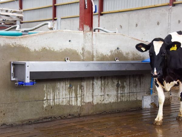Teemore Stainless Steel Fast Empty Drinker Trough - Main image