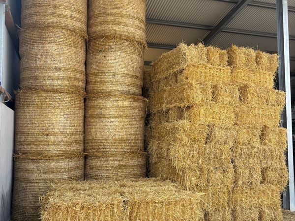 Small squares of oats and barley straw - Main image