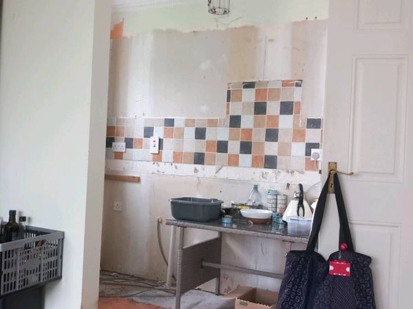 Kitchen and living room renovation - Main image