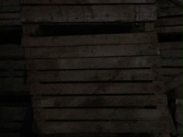 no-image