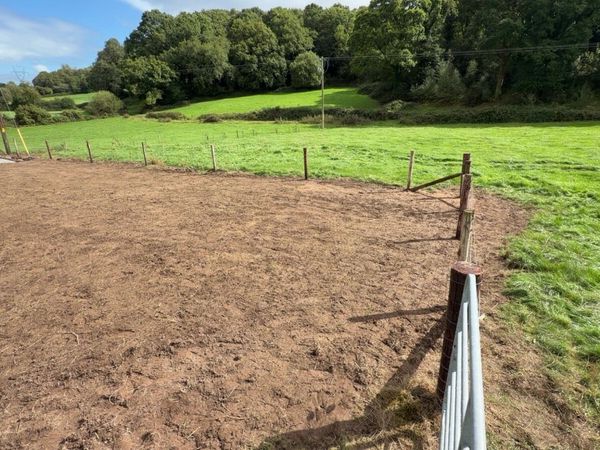 no-image
