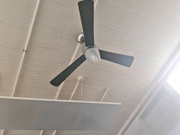 Fan - Main image