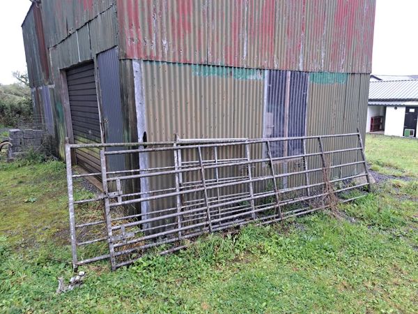 no-image