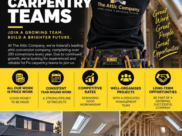 1st Fix carpenters teams for Attic conversions - Main image