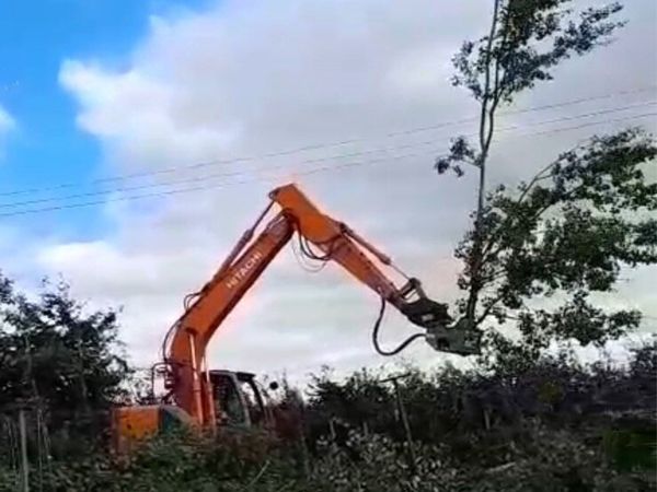 Tree shears & mulcher hire & more - Main image
