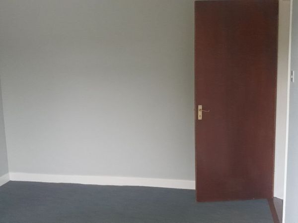 no-image