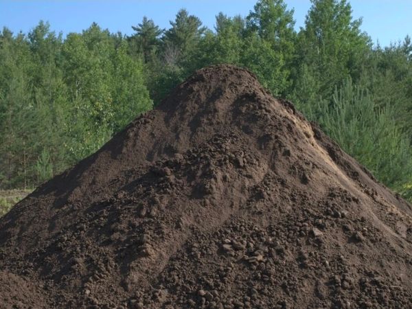 no-image