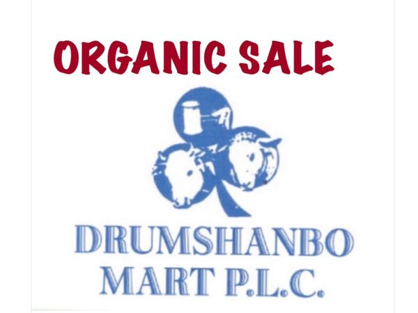 ORGANIC SALE OF CATTLE & SHEEP Sat. 19th Sept - Main image