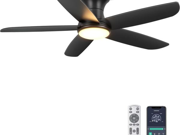 no-image