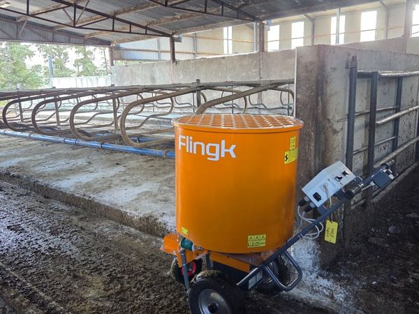 Flingk Bedder InStock. - Main image
