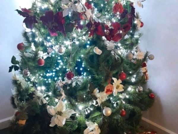 Christmas tree - Main image