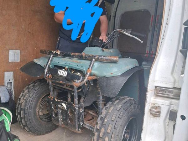 Timberwolf 250cc needs diff - Main image