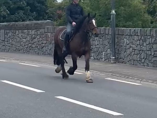 15hh - Main image